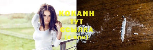 MESCALINE Каменка
