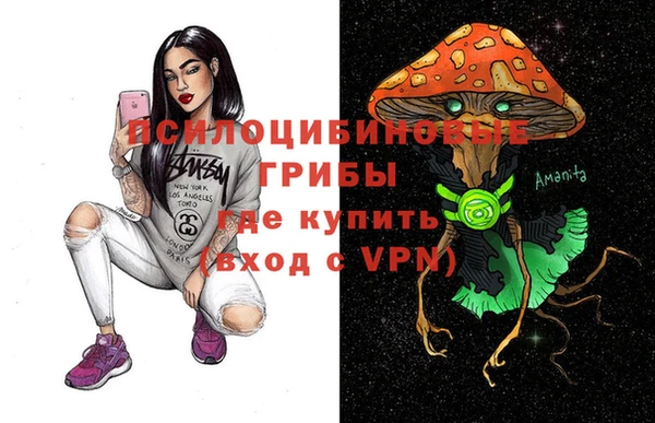 MESCALINE Каменка
