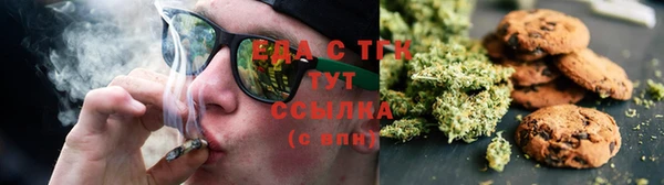 СК Каменногорск